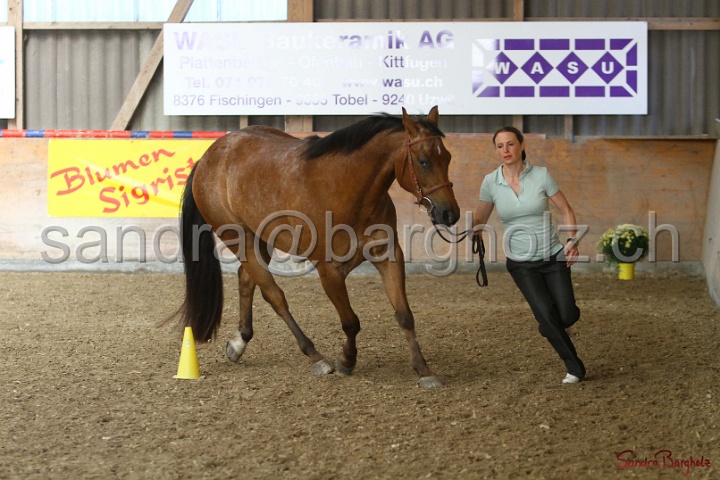 24-ApHC HIH_125.jpg